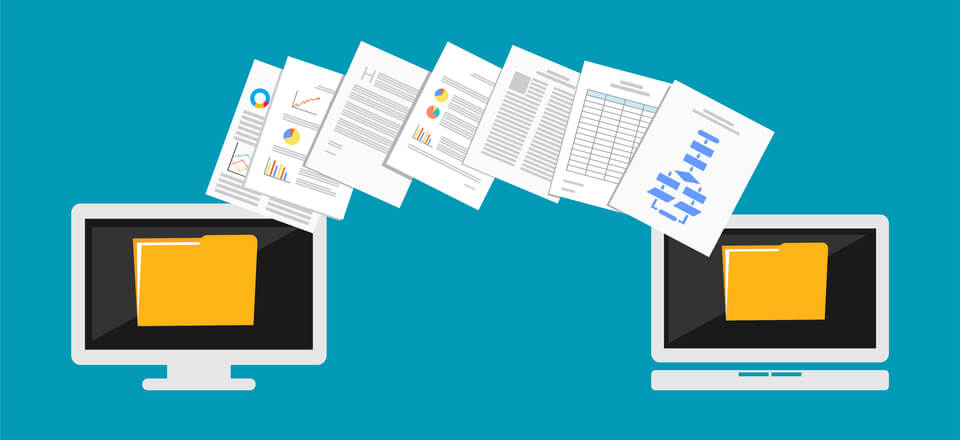 Search Engine Optimization 